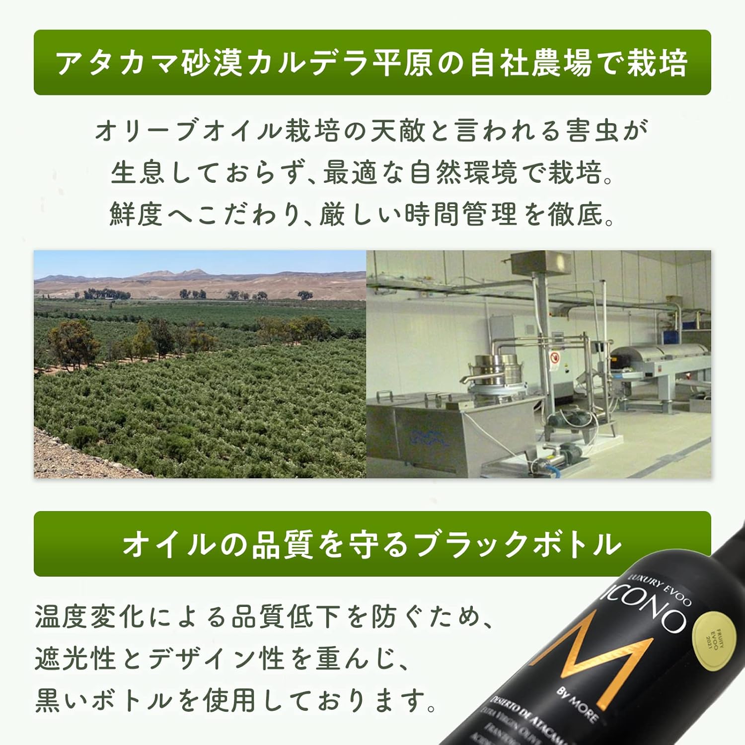 【FRUITY】エキストラバージン オリーブオイル ICONO(アイコノ) 500ml by MORE Chile