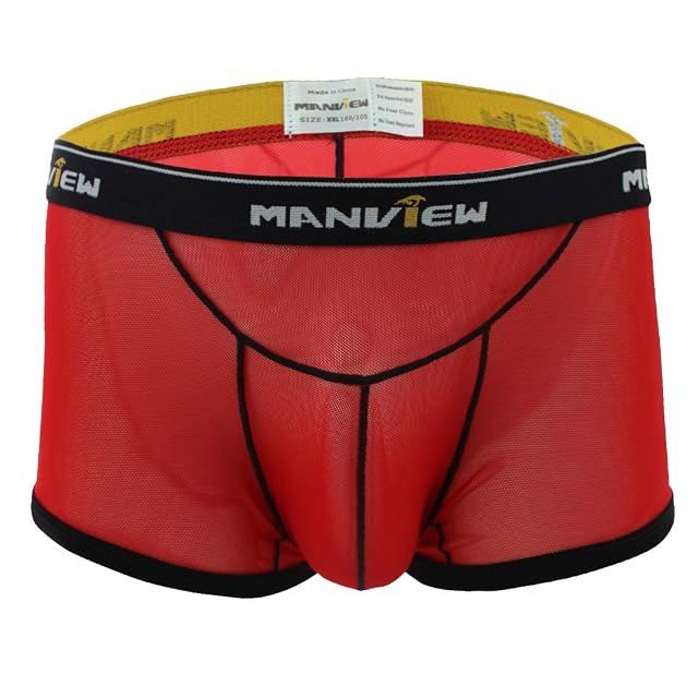 dPois Mens Sexy See Through Mesh Boxer Briefs Bikini Swim Trunks