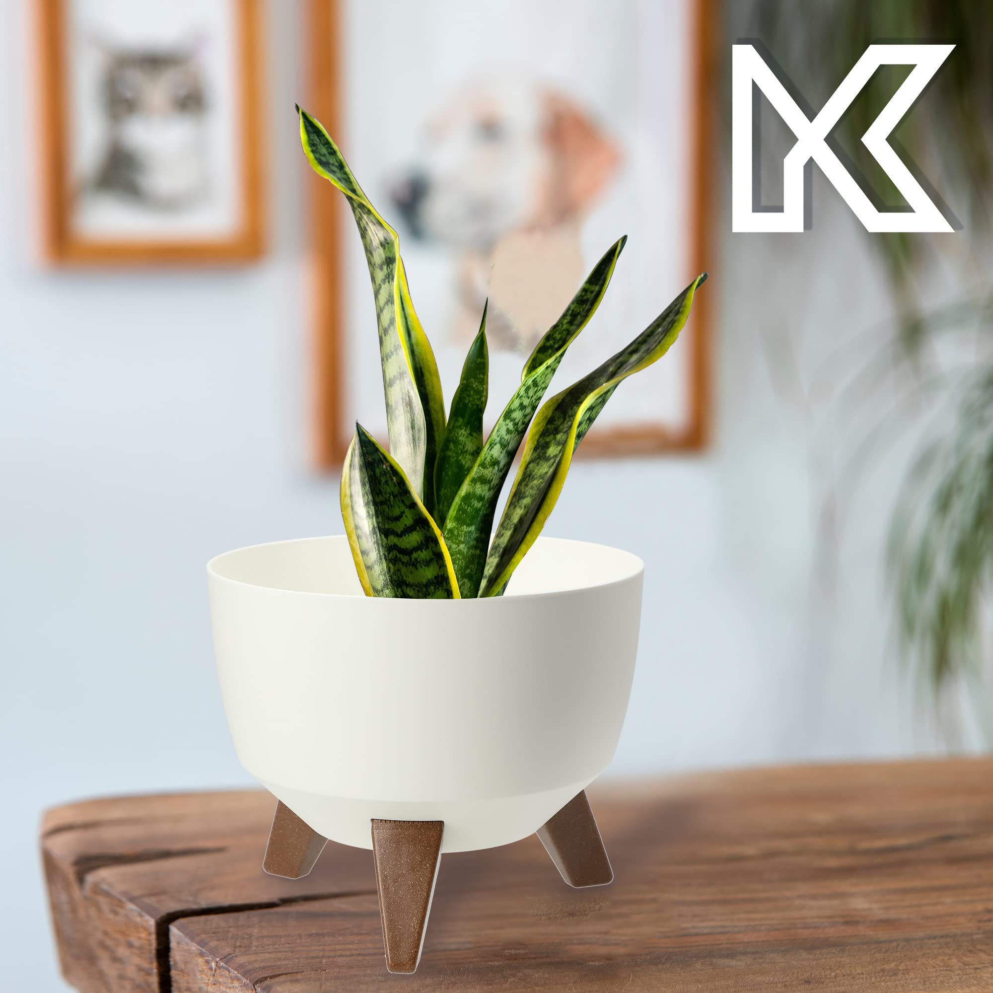KADAX Vaso Rialzato 24 cm in Plastica per Piante da Interno ed Esterno, Coprivaso Decorativo con Piedistallo Simil-Legno e Design Moderno (Grigio Scuro
