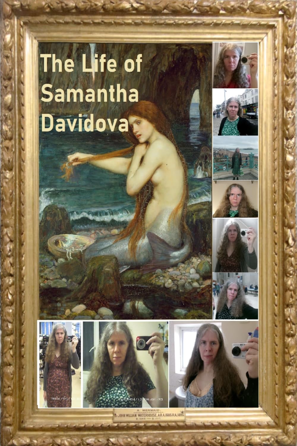 The Life of Samantha Davidova: The Samantha Davidova Library Book 18