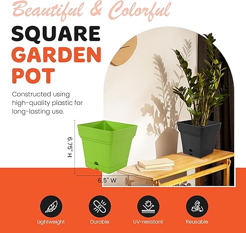 Miniatura 3 de Mintra - Macetas de plástico para plantas, maceta cuadrada para plantas de interior y exterior, macetas de jardín con platillos y agujeros de verde