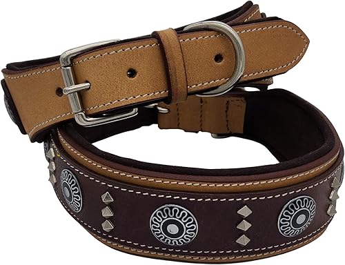 BlazingPaws Armington - Collar de perro occidental de cuero grueso de lujo de 2 pulgadas para perros grandes, collar de perro acolchado de gamuza disponible en Yaxa Colombia