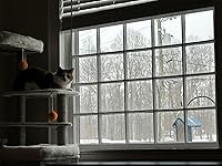 Review Image by Caroline