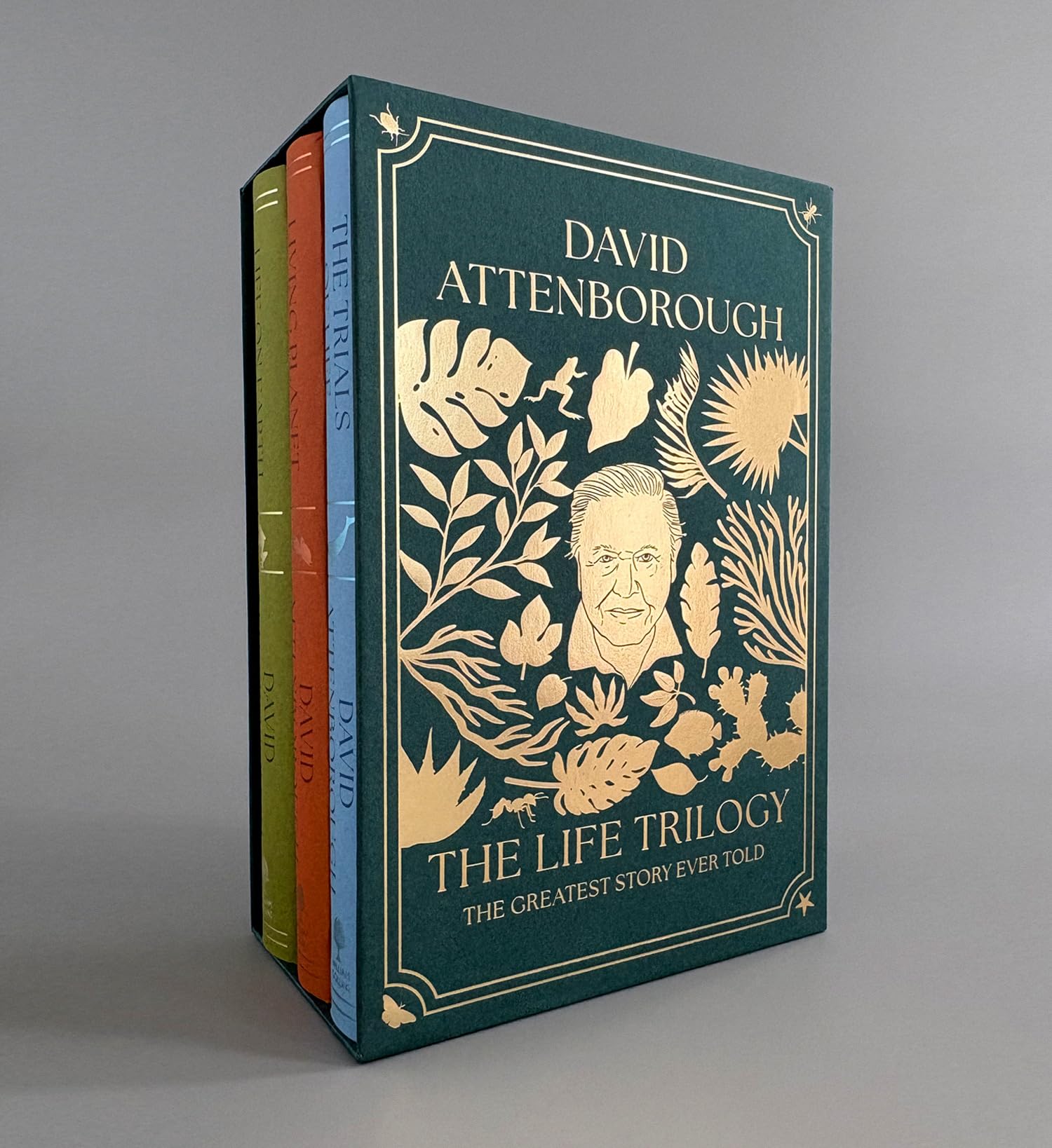 The Life Trilogy Boxset by David Attenborough