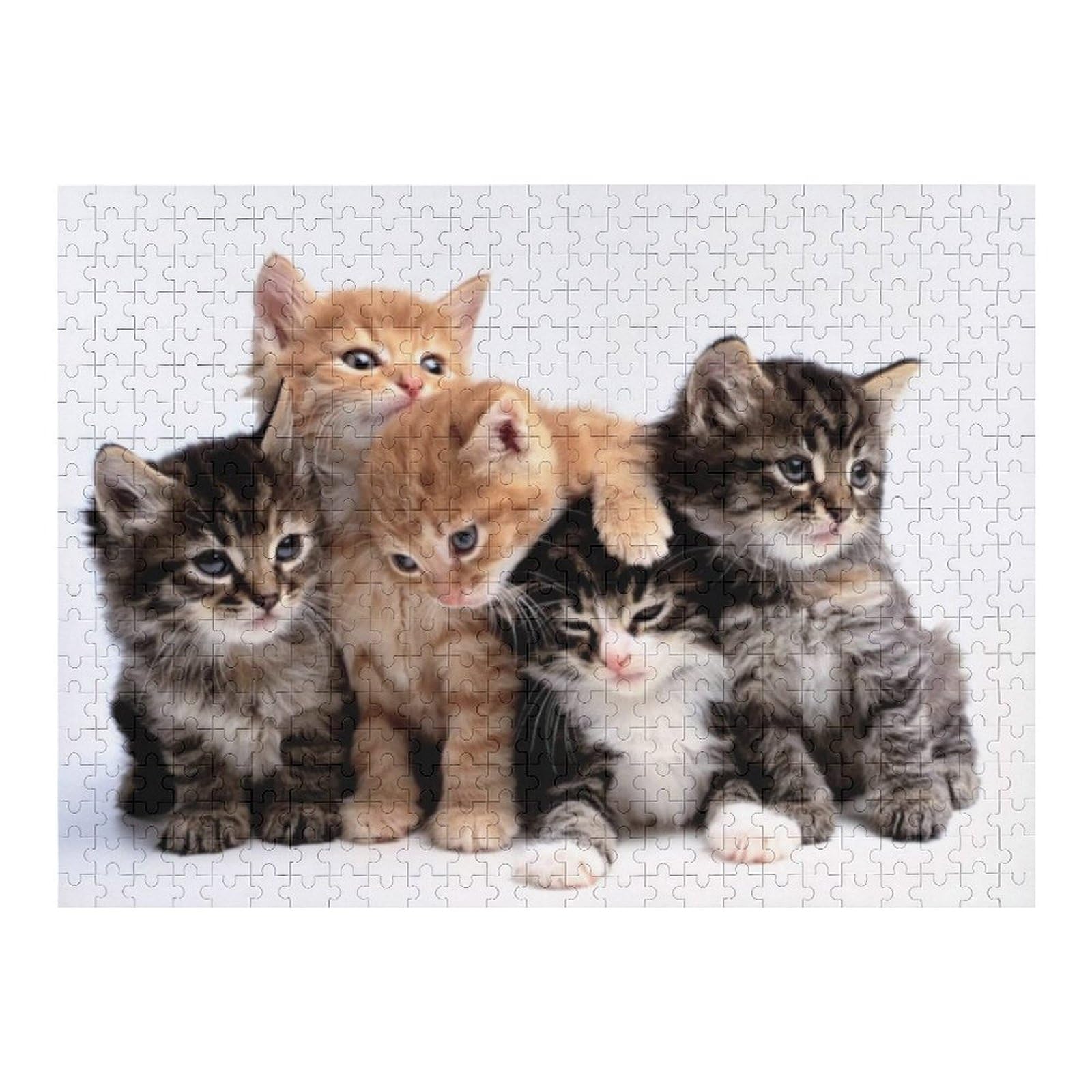 Amazon.co.jp: 可愛い子猫 子猫のグループ ジグソーパズル 500ピース