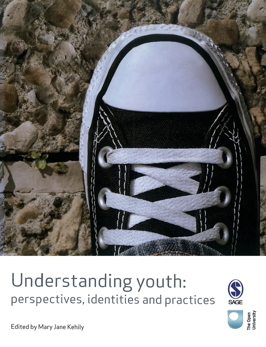 Understanding Youth: Perspectives, Identities & Practices (Published in association with The Open University)