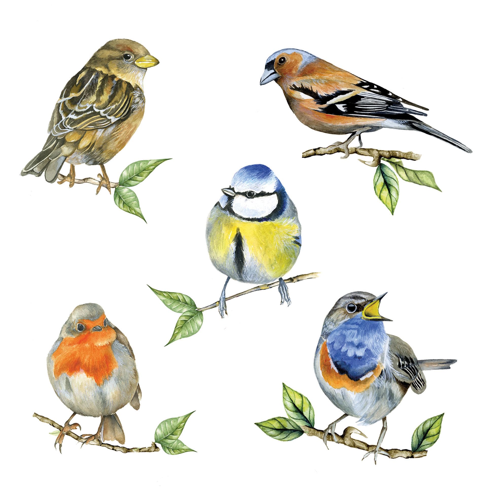 Lot De 4 Instruments De Lifting (ostéotomes) Pour Chirurgie Plastique Des Sourcils/visage - Neufs, Marque Générique