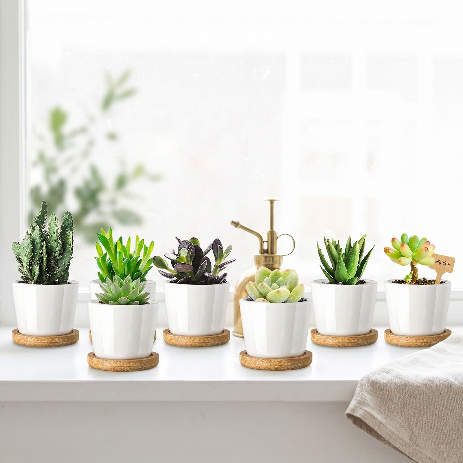 Tosnail Lot de 12 Petits Pots de 6,3 cm avec 12 Plateaux en Bambou