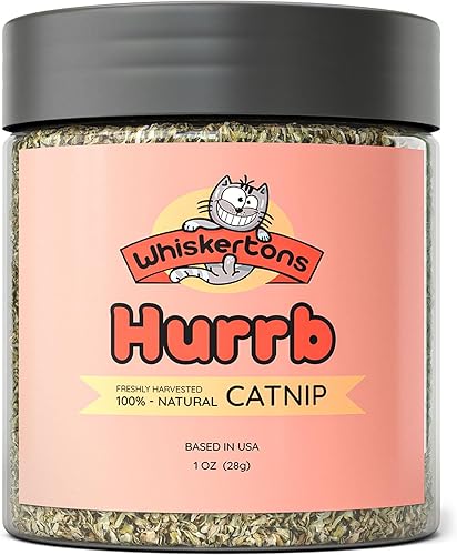 Whiskertons Hurrb Hierba gatera para gatos y gatitos, 100% naturales y seguras golosinas de hierba gatera utilizada para juguetes y accesorios