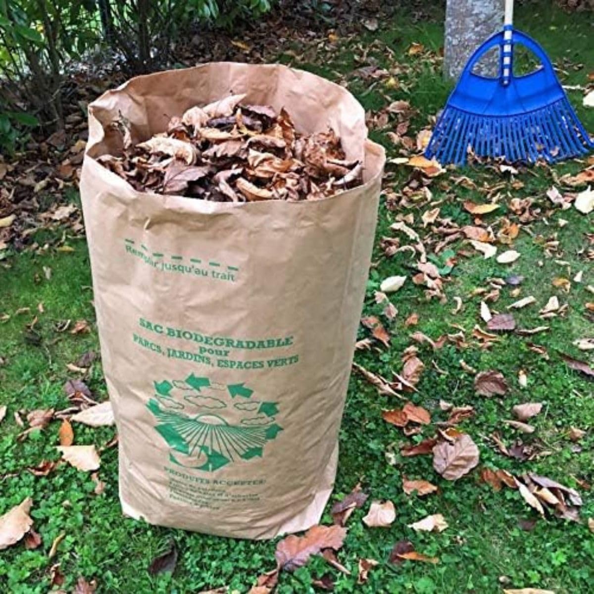 Juego de bolsas de residuos vegetales 100 L | Papel Kraft ultrarresistente | Par de guantes de jardín ofrecidos | Ideal para jardines familiares y mantenimiento de casas individuales (25)