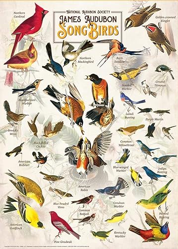 Miniatura 9 de MasterPieces Rompecabezas de 1000 piezas para adultos, familia o niños, mariposas de América del Norte, 19.25 x 26.75 pulgadas