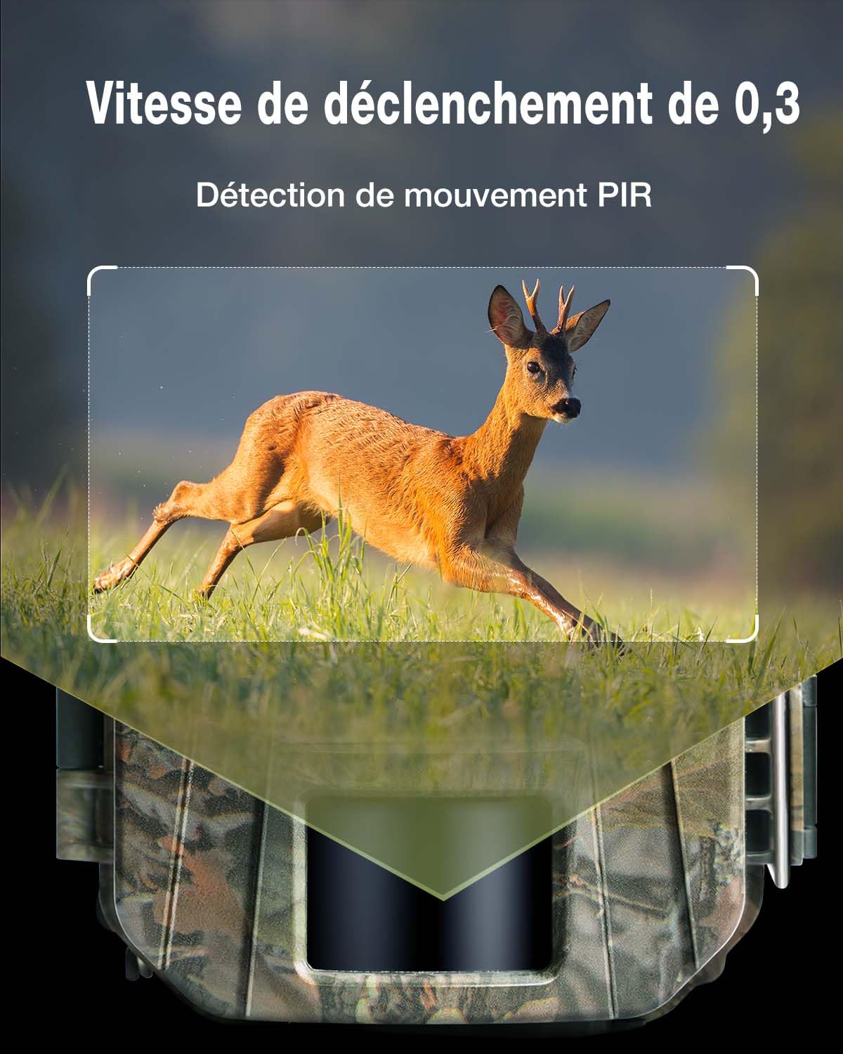 WOLFANG Caméra de Chasse,48MP 4K HD Caméra Chasse avec 940nm No Glow Vision Nocturne,IP66 Etanche pour l'observation des Animaux