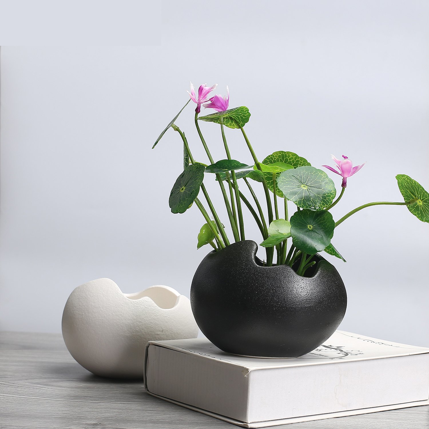 黒い卵型植木鉢 蓋付き Amazon | TOSSOW 植木鉢 陶器鉢 卵形 多肉植物 サボテン鉢 ハーブ