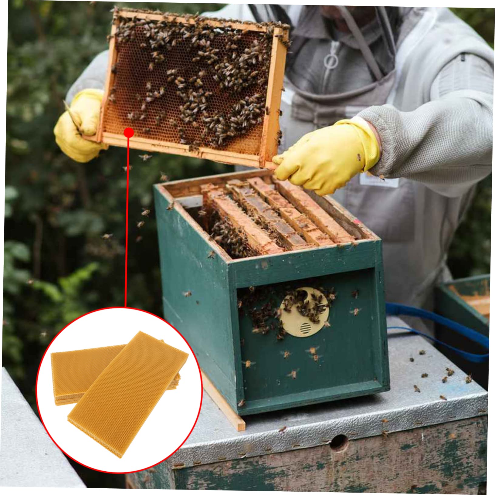POPETPOP Foglio di Fondazione in Cera D'api Giallo 30 Pezzi per Arnia Resistenza alla Rottura e Alta Produzione per Apicoltori