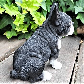 71T8Y1UaHxL._AC_UF350,