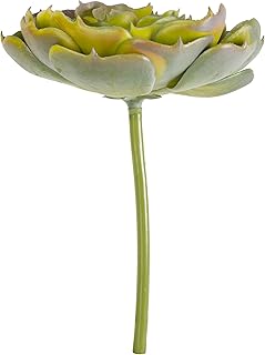 Darice, Green Purple, DC-8571 Everyday Succulent, 3.5