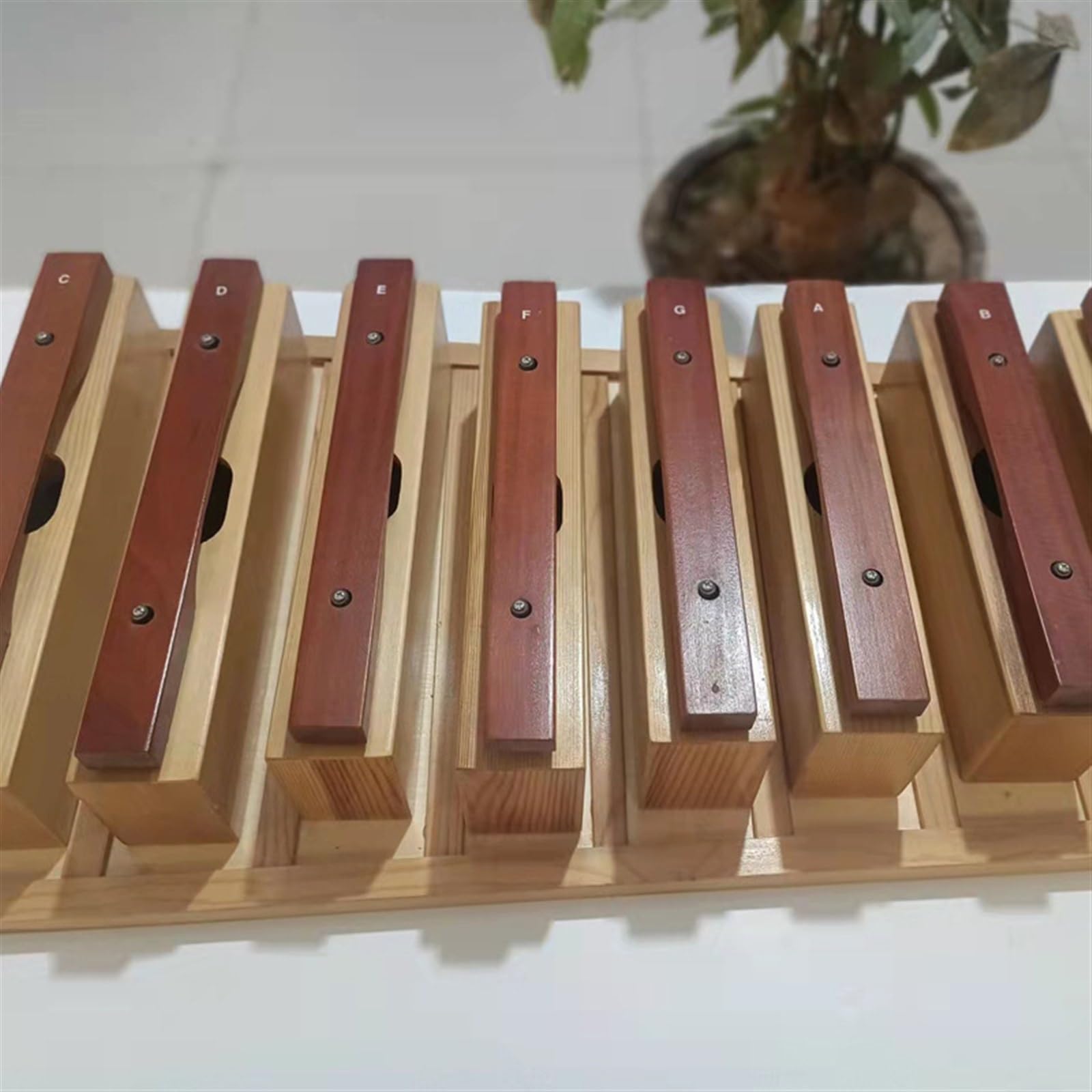 Instrument de percussion Glockenspiel en bois à 8 notes en brique double couleur Kit De Glockenspiel