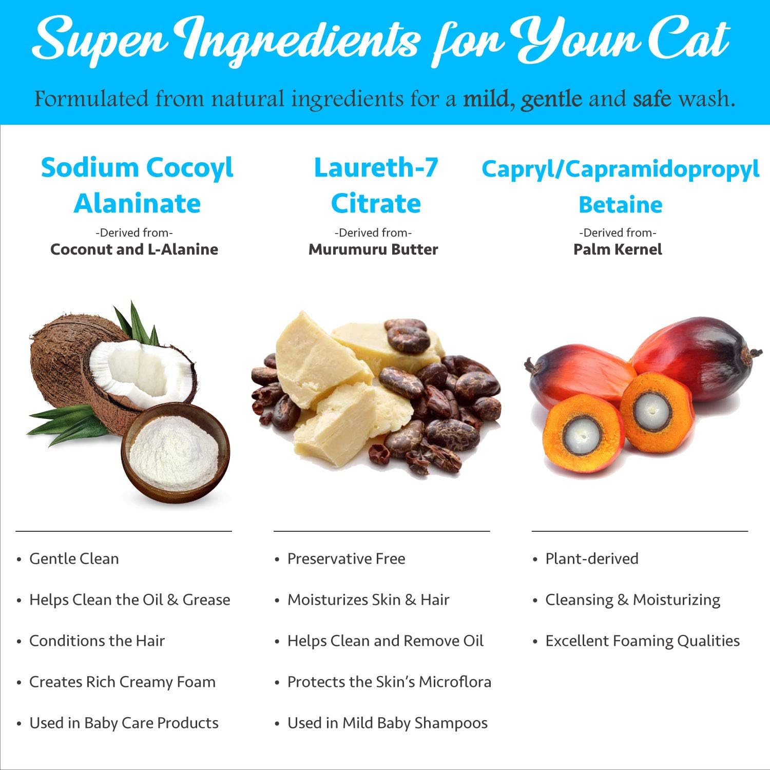 Mooncat Waterless Cat Shampoo [Easy to Use Dry Cat Shampoo] Suitable for All Cat Types. Contains Safe Ingredients - Alcohol Free - Parabens Free - No Water or Rinses Needed (5 oz) : Pet Supplies