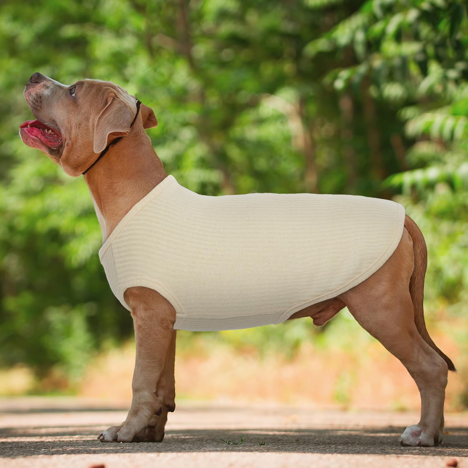 Hjumarayan Dog Tshirt, Summer Knitted Jumpers Soft Stretchy Clothes for Small Dogs Shirts Striped T shirt for Slim Pug Westie - Image 2