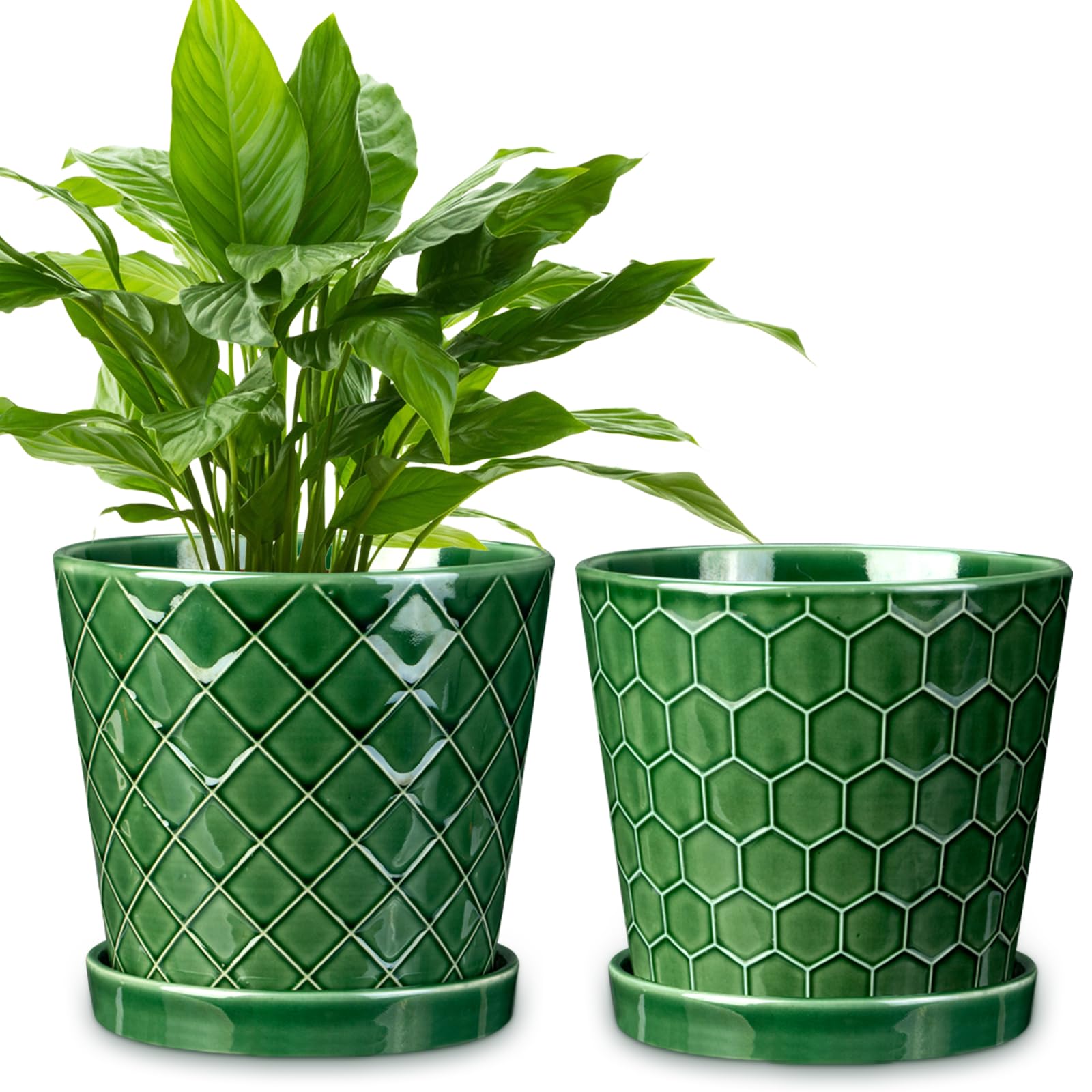 EFISPSS 6 Inch Ceramic Pot Set