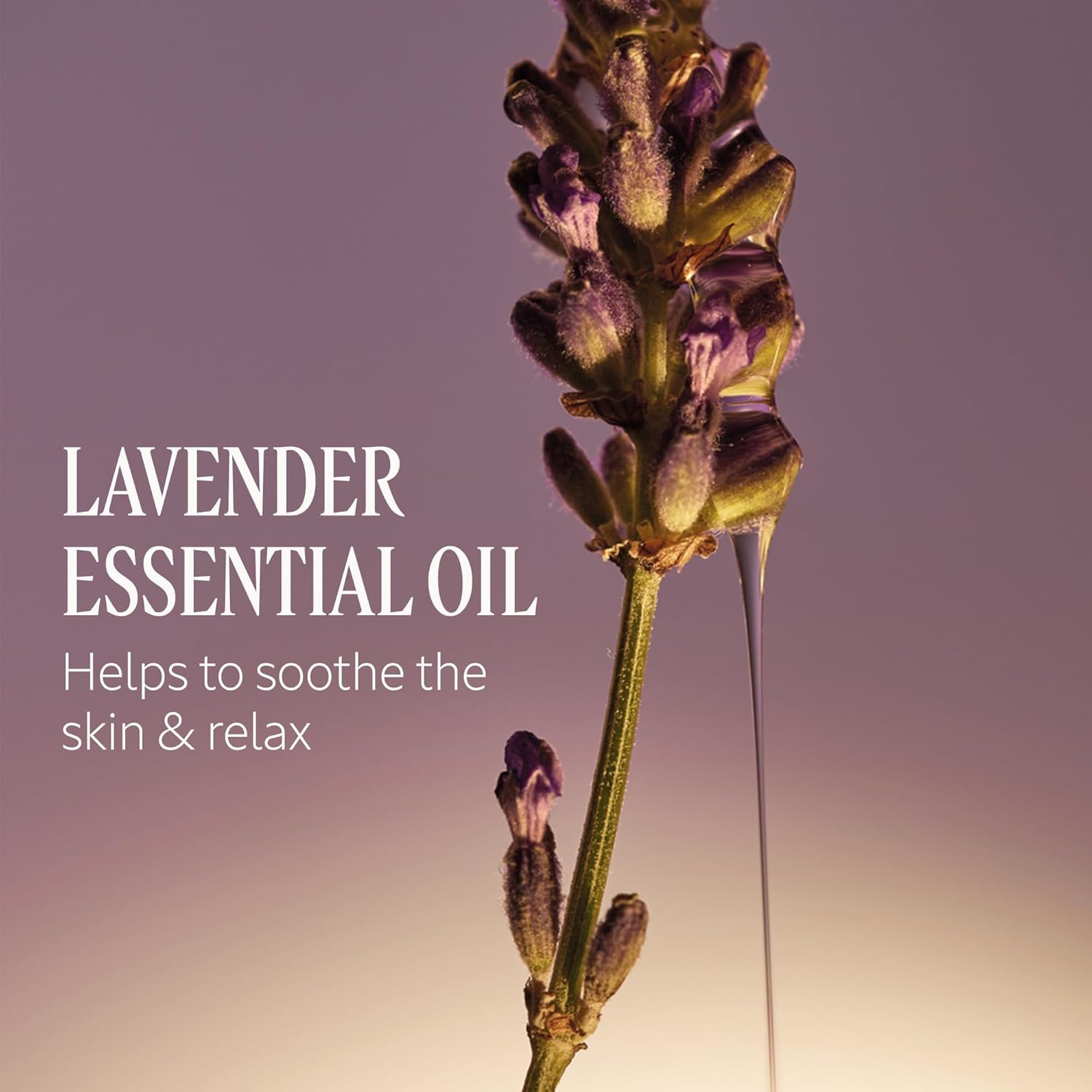 L'OCCITANE Shea Hands & Body Lavender Liquid Soap 16.90 fl oz - Image 5