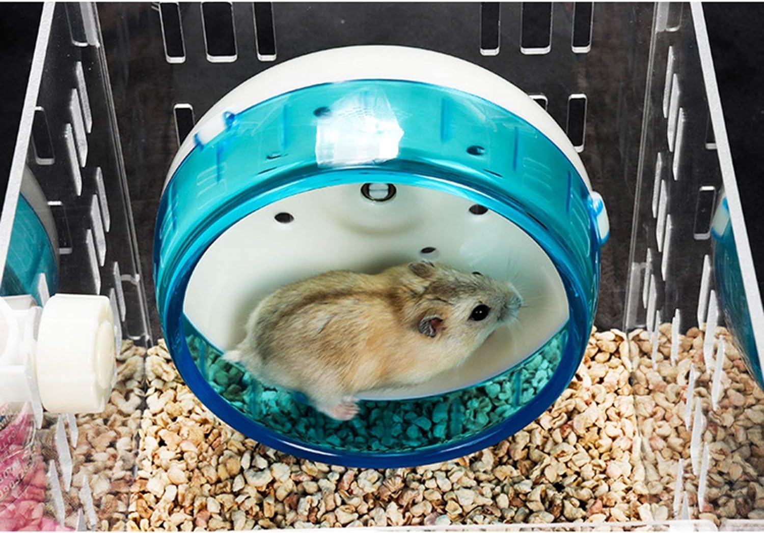 Jaula acrílica Transparente para hámster, Jaula de Animal PEQUEÑO, casa para hámster con Botella de Agua, Rueda para Correr, Escalera de Escalada, terrario Gerbil