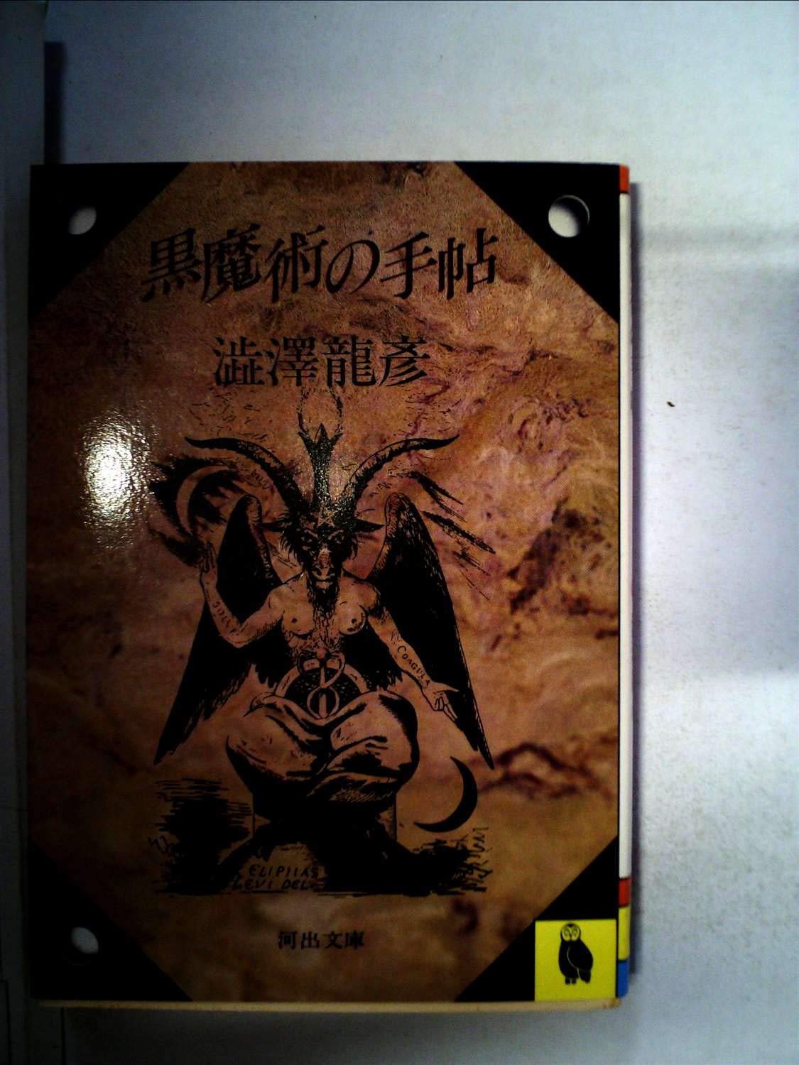 Amazon.co.jp: 黒魔術の手帖 (1983年) (河出文庫) : 澁澤 龍彦