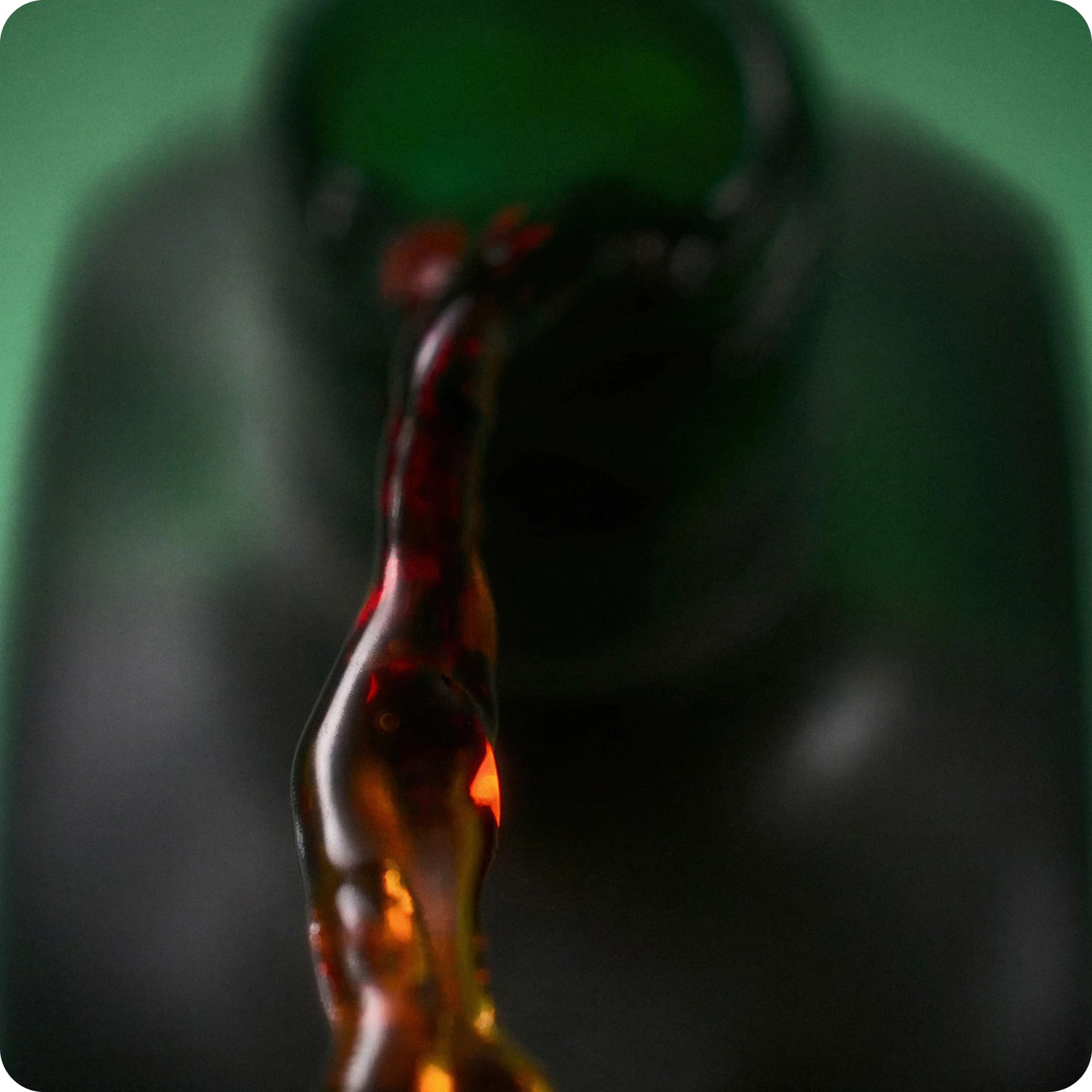 Jägermeister – 1 x 1l Premium Kräuterlikör 35% Vol. aus 56 erlesenen Kräutern – Im Eichenfass gelagert – Das Original aus Wolfenbüttel