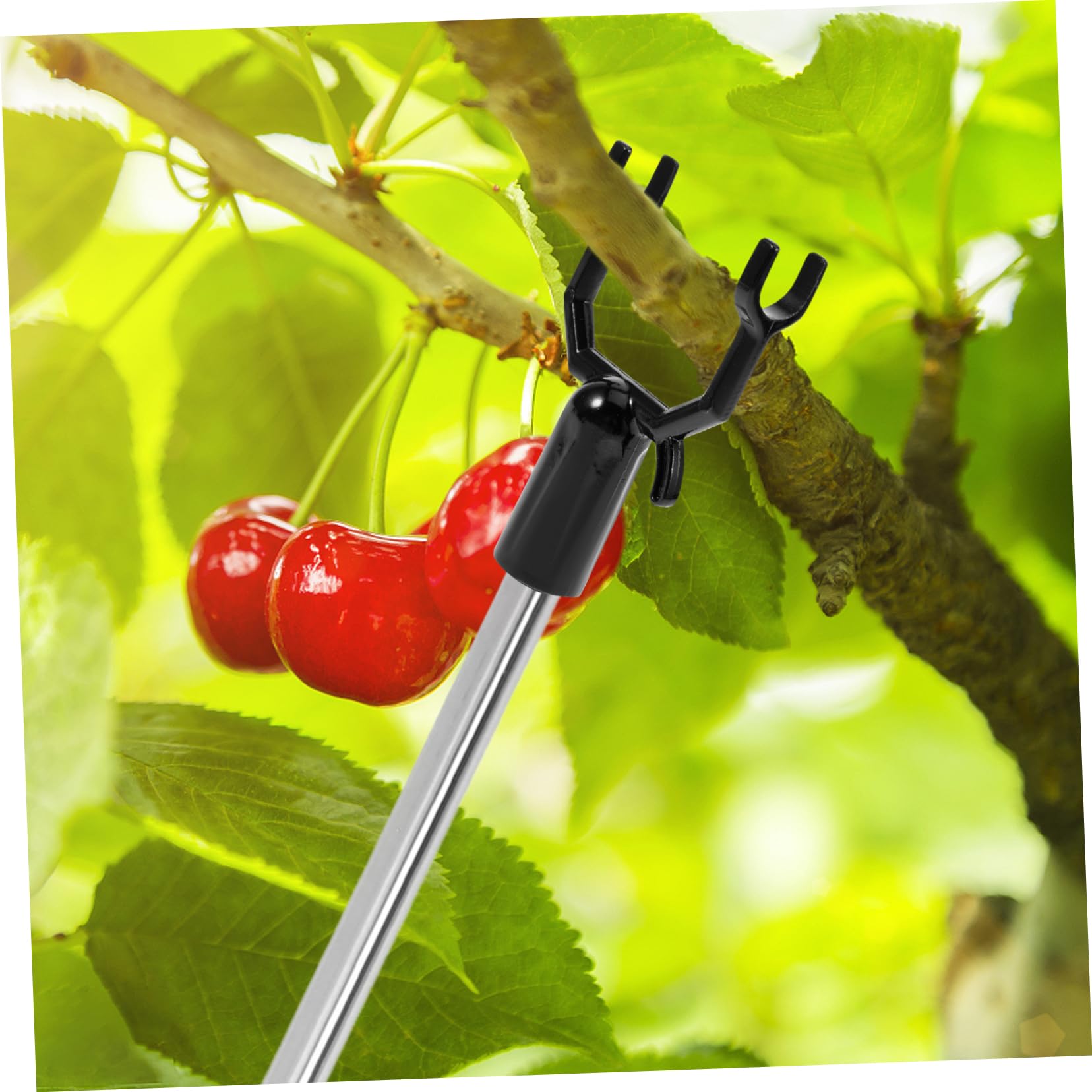 BESPORTBLE STK Obstbaum-Stützgabelpflanze Obstbaumständer Baumstützen für schiefen Baum Pflanzenzweigstützen Obstbaumstützen Stütze für Obstbaumzweige Niederlassungen unterstützen