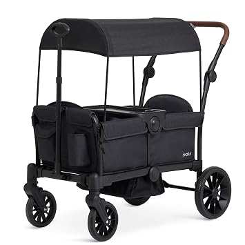 Evolur Trailblazer Foldable Wagon Stroller for 2 Kids with Canopy, Black
