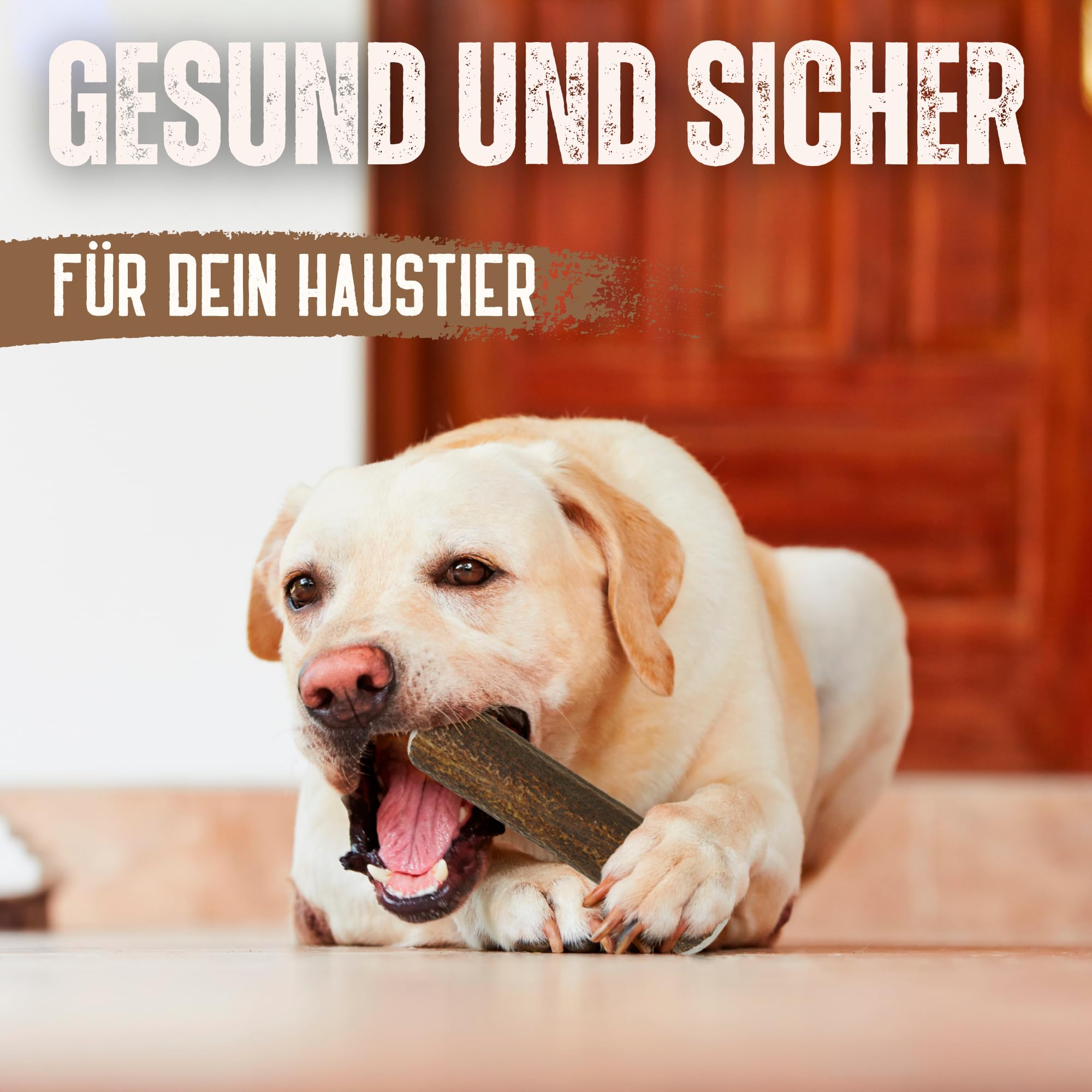 Hirschgeweih Hund – Kaustab Naturkauer | Zahnpflege | Ohne Zusatzstoffe – Kira&Gara® (L · 101-150g · 1 Stück) – Ansicht 7