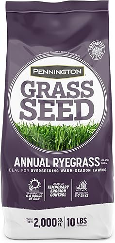 Pennington Semilla anual de pasto de Ryegrass 10 lb