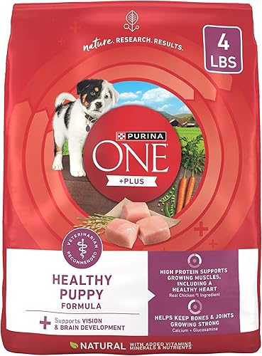 Purina ONE - Alimento seco natural para cachorros, fórmula SmartBlend saludable, 4 bolsas de 4 libras