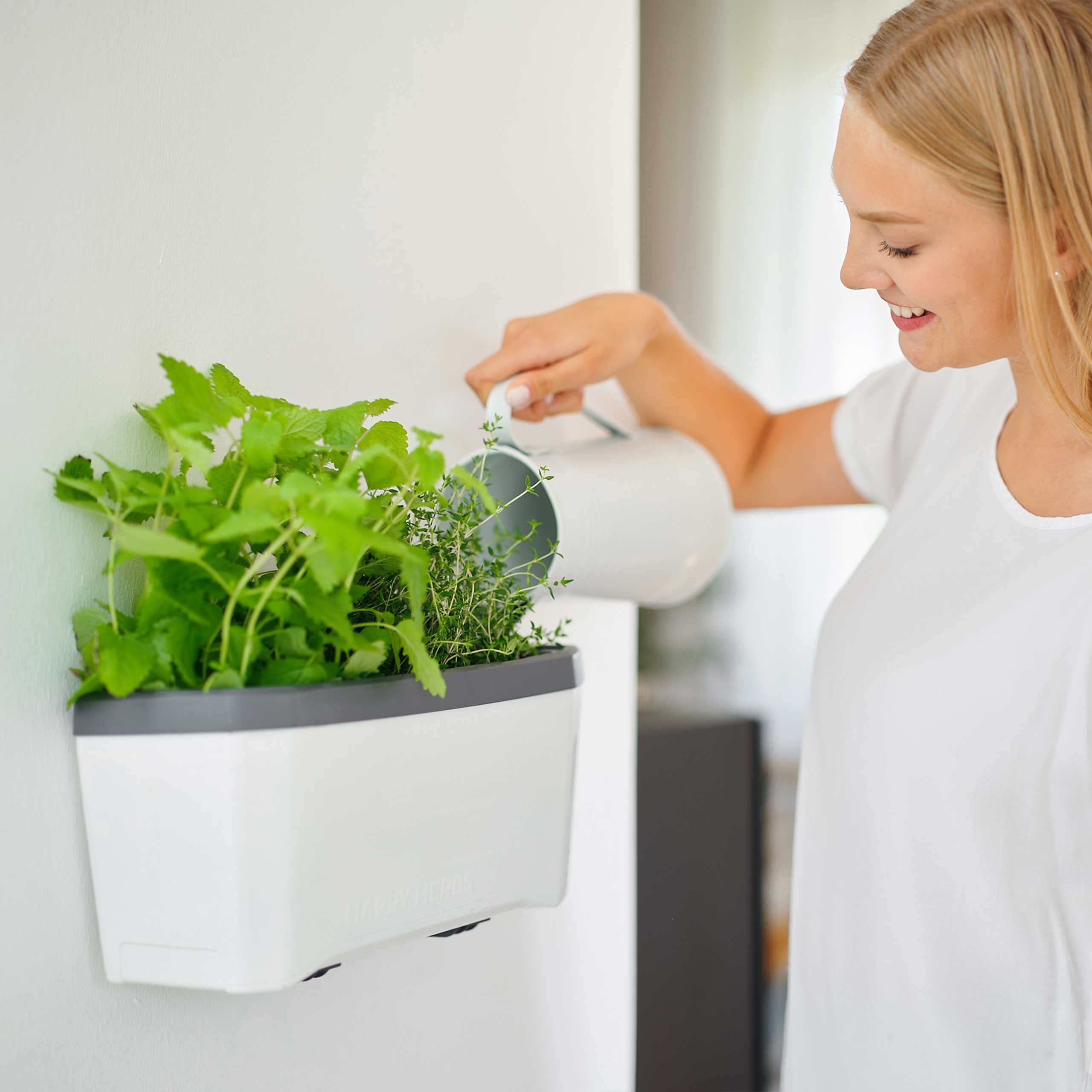 Gusta Garden Harry Herbs 4-w-1 doniczka na zioła ciemnozielona - doniczka do roślin - zdejmowana pokrywka i system samonawadniający - zbiornik na wodę 0,5L i pojemność na glebę 5L