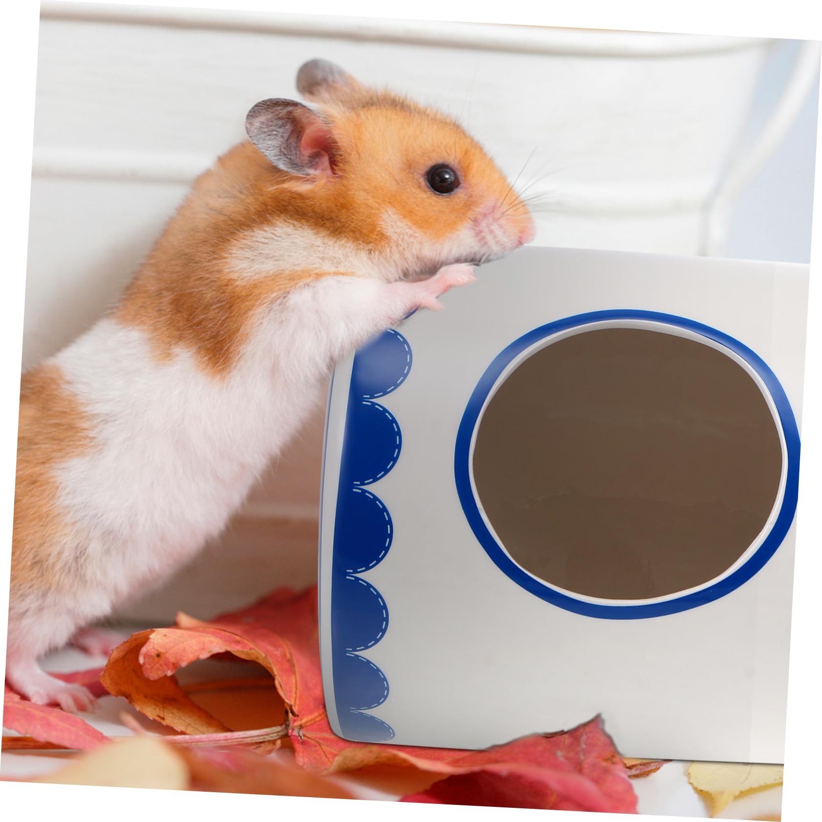 POPETPOP Keramik Hamsterhaus Kühlt im Sommer für Hamster und Igel