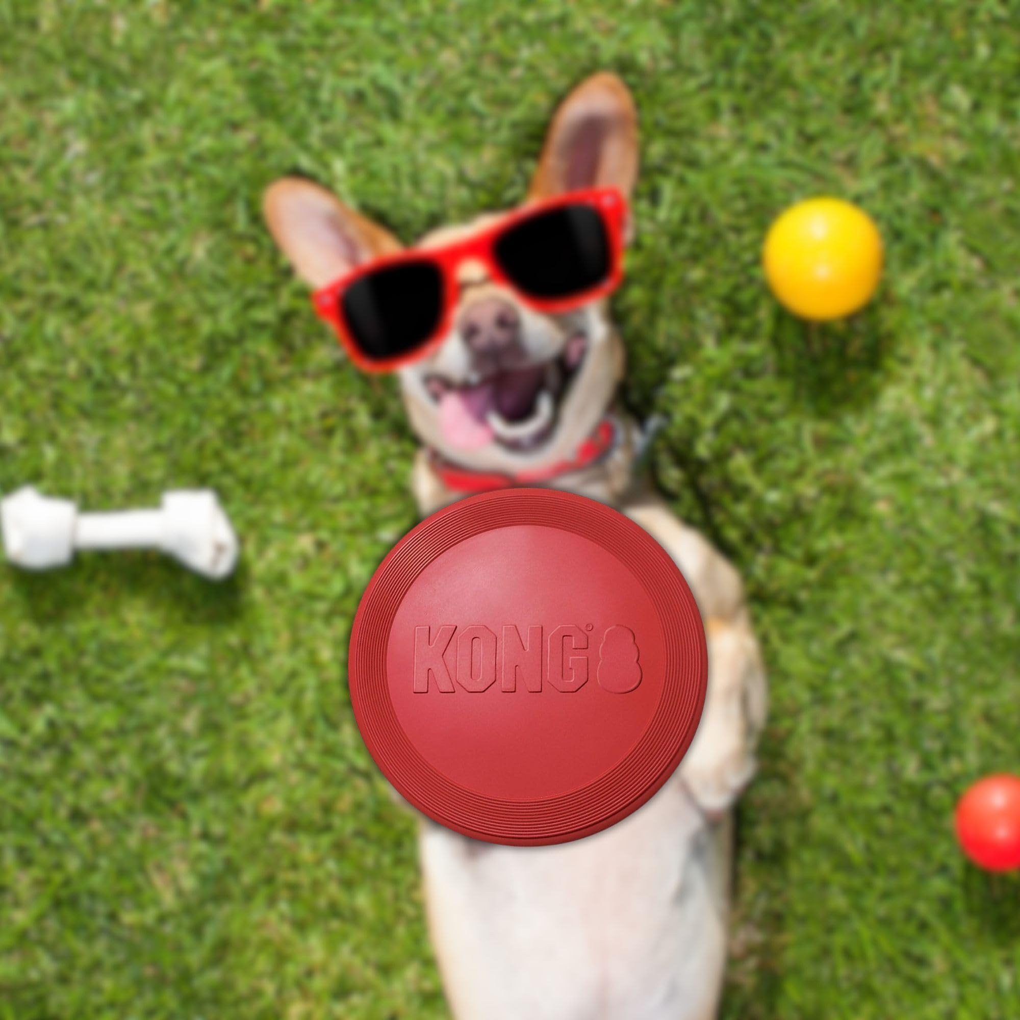 KONG Flyer en Caoutchouc