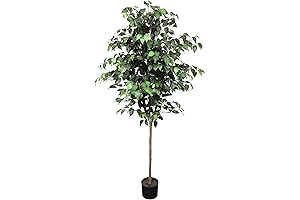 Ficus Silk Tree | Artificial Silk Ficus Tree | Realistic Indoor or Outdoor Decor