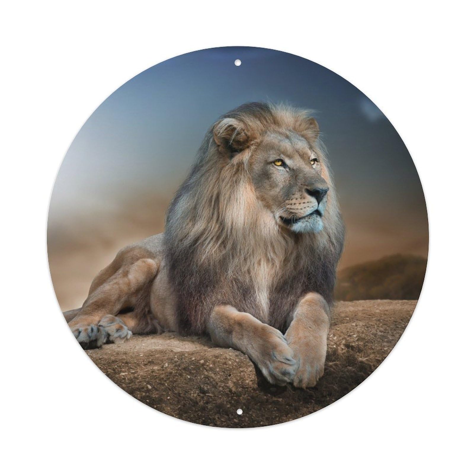 Animal Fierce Lion King of The Prairie Metal Tin Sign