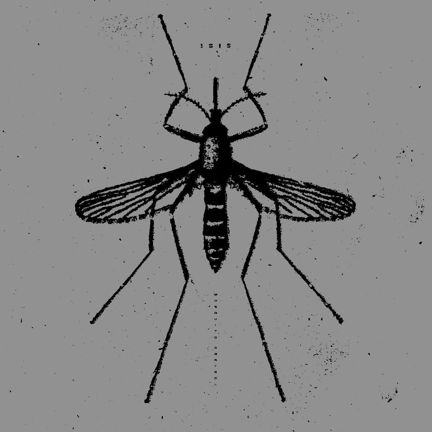 洋楽 ISIS - The Mosquito Control '12EP ISIS-THE MOSQUITO CONTROL EP: Amazon.pl: Płyty CD i winylowe