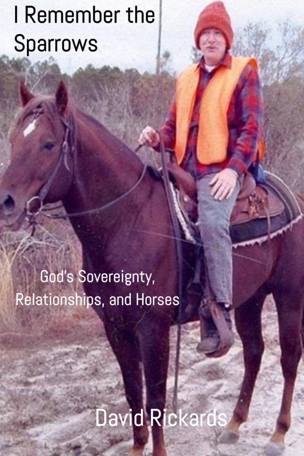 I Remember the Sparrows: God's Sovereignty, Relationships, and Horses