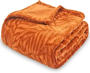 backpac