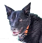 Review Image by Chris Locke Chris Locke