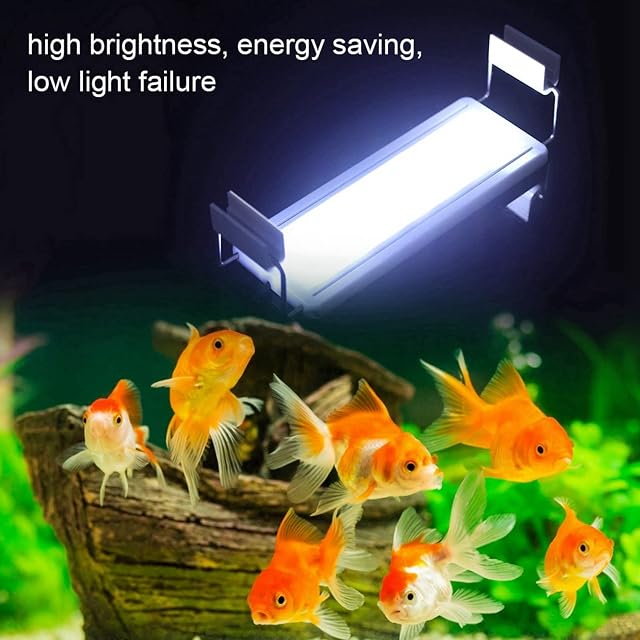 Foto 2 de 8 de Compras Locas Luz subacuática para Acuario, Acuario con Clip Mini luz LED Lámpara para pecera EU Plug 220V