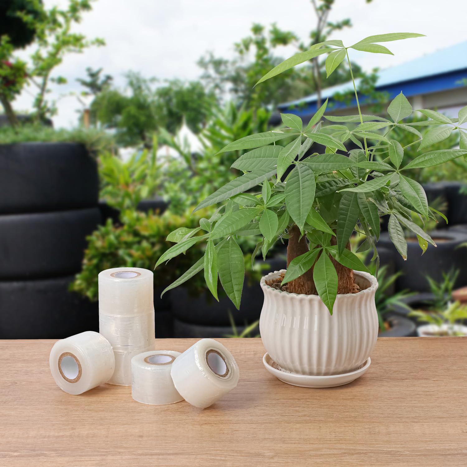 36 Stück 4,1 cm Pflanzen Veredelungsband, Veredelungsfolie für Pflanzen, dehnbare Gartenpflanzen, Reparatur-Bänder für Obstbäume, Blumen, Kakibäume, Gemüse