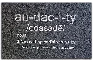FUNNY AUDACITY Doormat 30 * 18In, Black Welcome Mat for Entrance, Front...