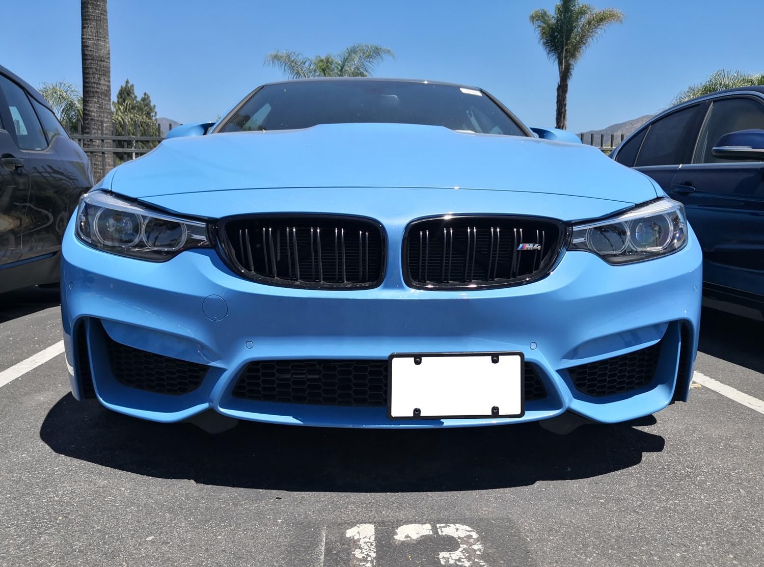 iJDMTOY No Drill Front Grille Mesh Mount License Plate Relocator Kit Compatible with BMW BMW M2 M3 M4 M5 M6 X5M X6M or 1 2 3 4 5 Series X5 X6 w/Diamond Shape Lower Bumper Grill Mesh/Insert