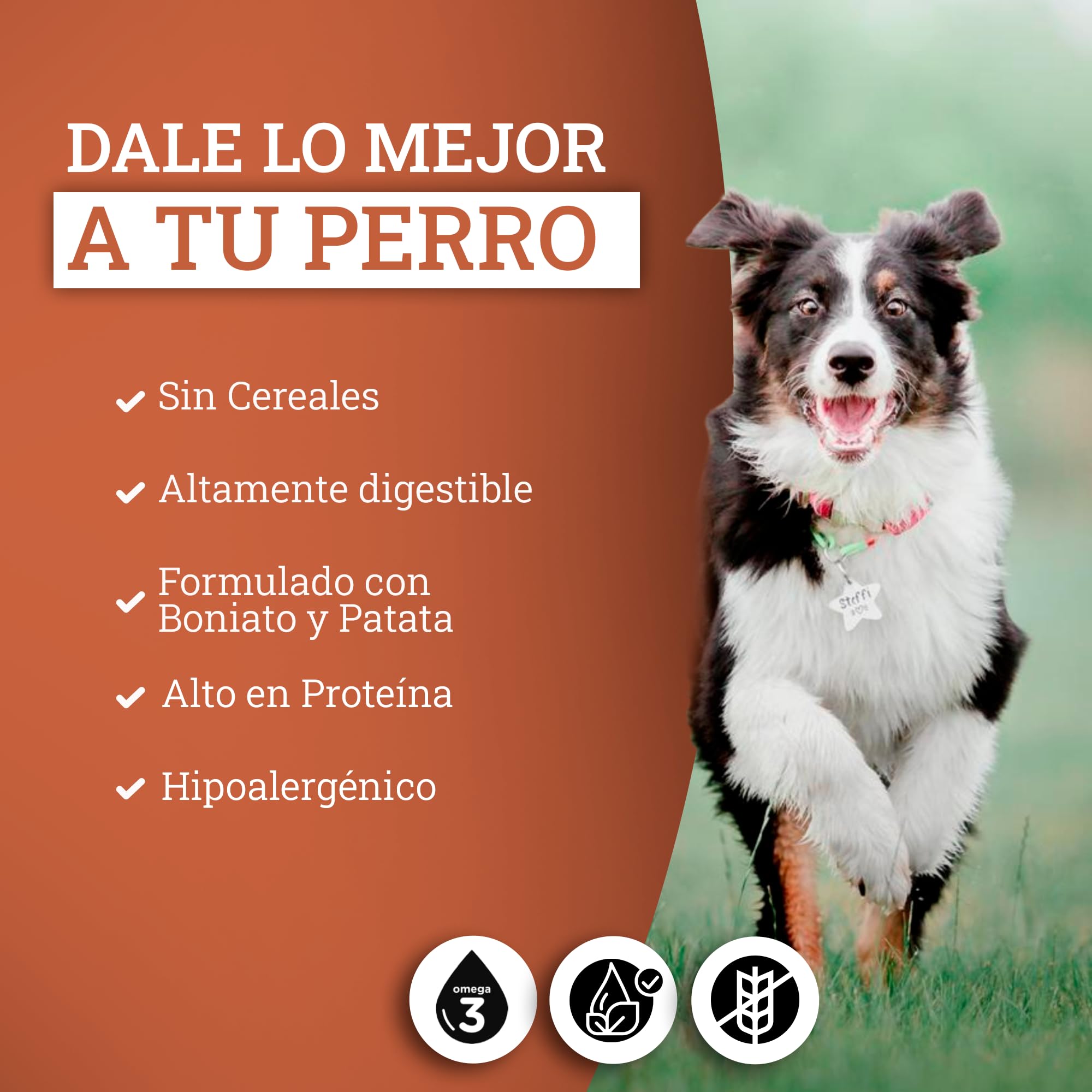 Yerbero Nature Grain Free Pavo Boniato y Arándanos, Pienso Sin Ceereales, Hipoalergénico con Omega 3 Vitaminas y Minerales, Pienso Light Perros Grain Free Sin Conservantes Pack 2 de 2.5kg
