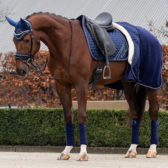 Foto 4 de 4 de QHP Manta de Lana para Caballos Brilliance