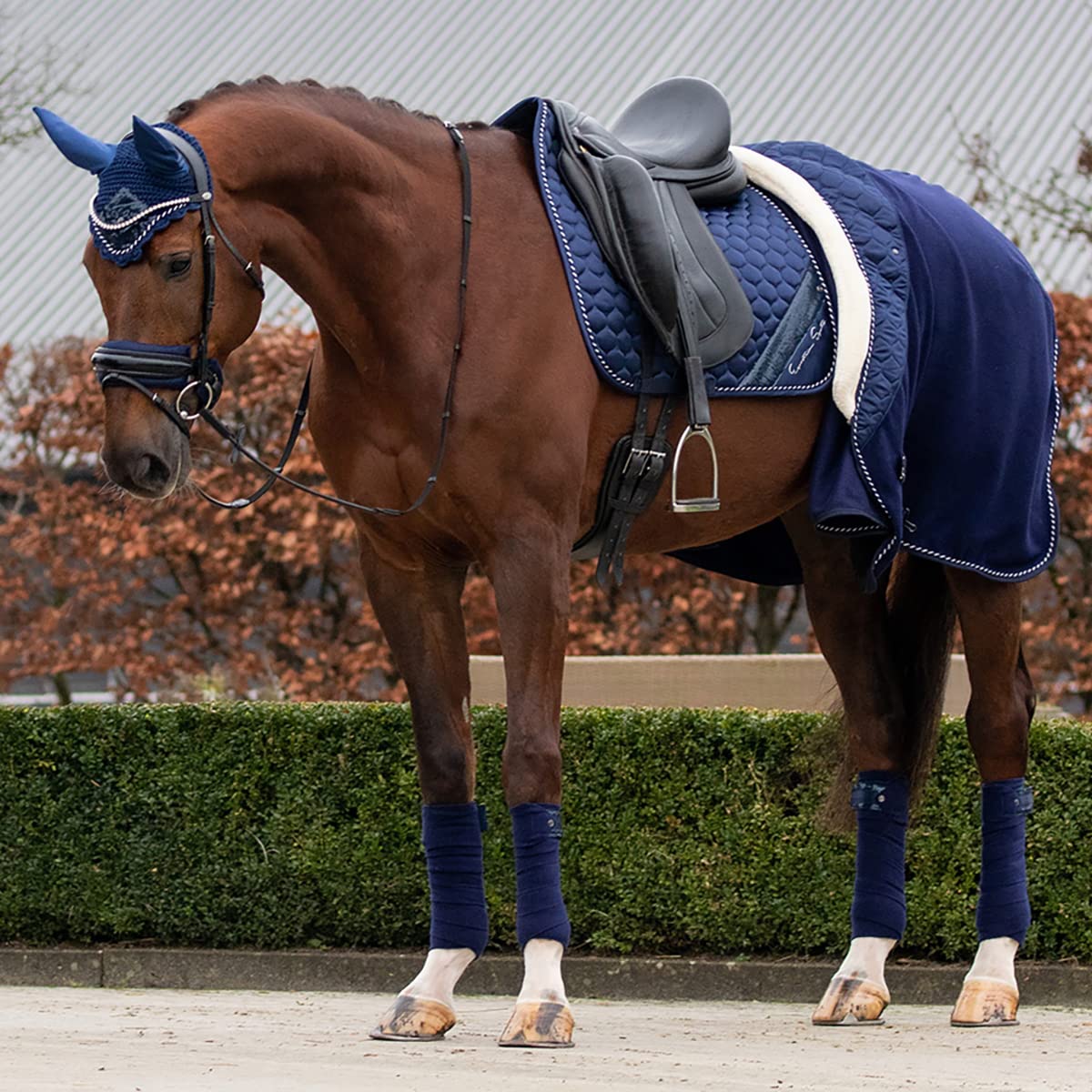 QHP Manta de Lana para Caballos Brilliance
