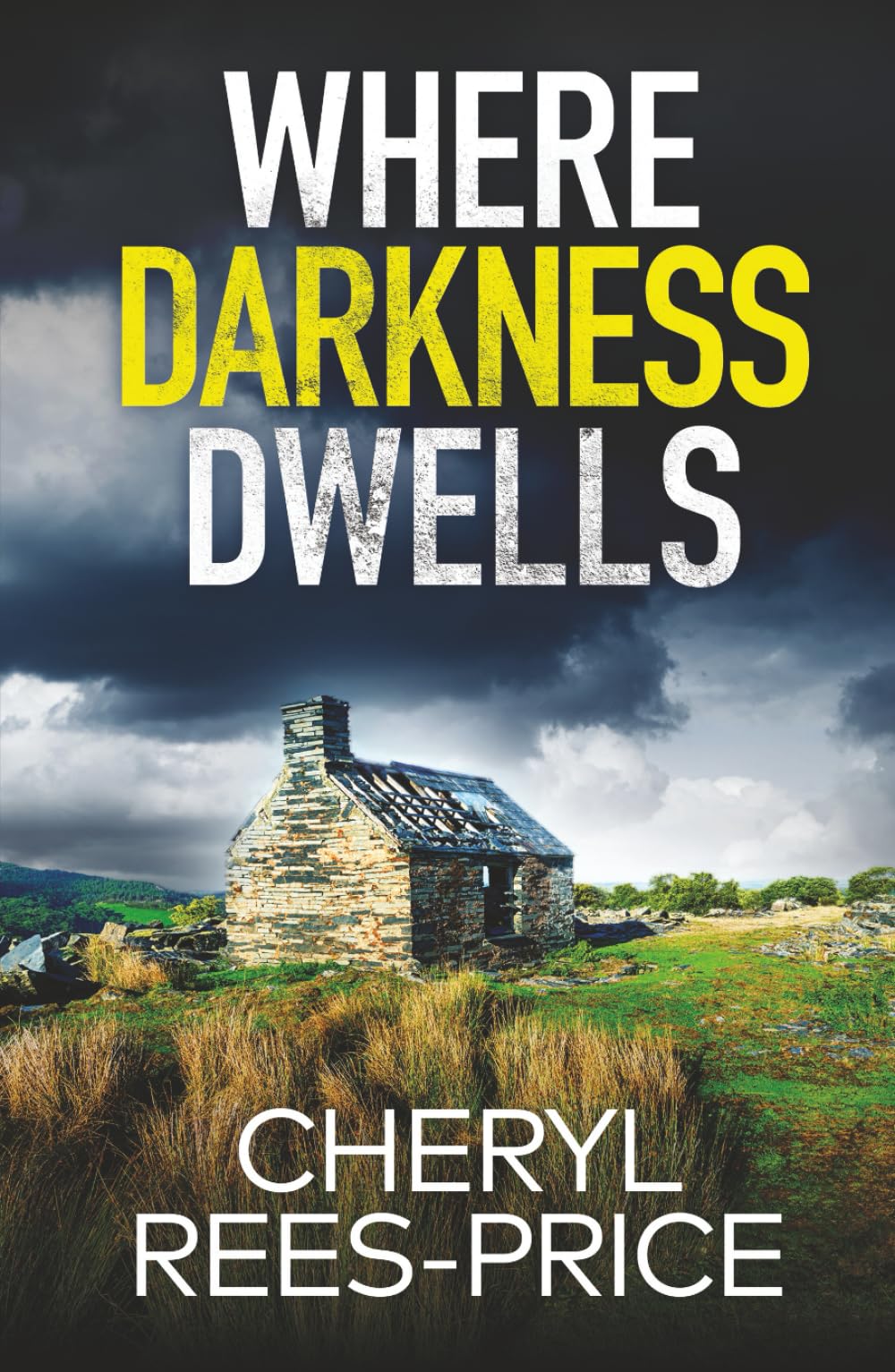 WHERE DARKNESS DWELLS a gripping Welsh mystery full of twists (DI Winter Meadows)